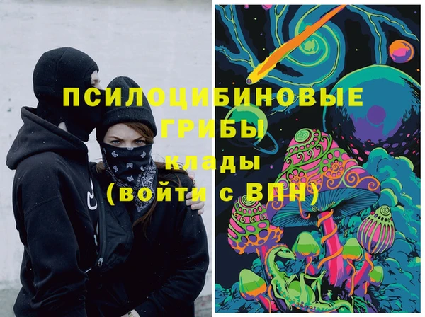 дурь Аркадак