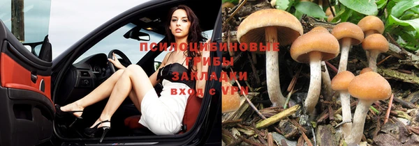 ALPHA-PVP Арсеньев