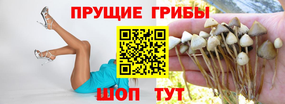 Галлюциногенные грибы ЛСД  Вход с VPN  Галлюциногенные грибы Psilocybe  Ахтубинск 